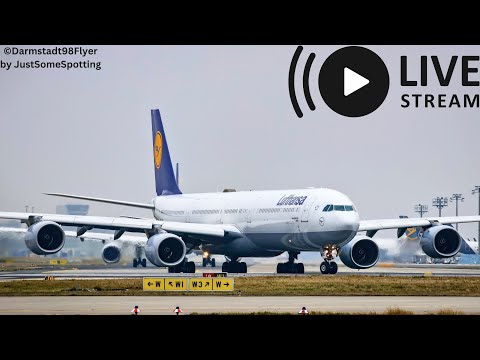 ✈️Cpt. Claus Harder "Quax747" aus IAD im A343 | Frankfurt Airport Live #frankfurtairport #d98flyer