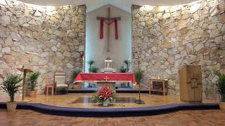 Palm Sunday of the Passion of the Lord 8:15 AM Mass at St. Jude Church, March 29, 2026