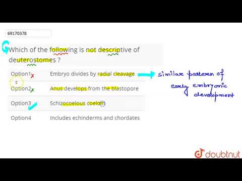 Which of the following is not descriptive of deuterostomes ? | 12 | ANIMALIA -I (LOWER INVERTEBR...