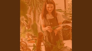 Pulsating Ambience for Shopping