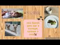 VLOG: как проходит наш будний день: иду в колледж👩🎓, купание🚿🧼 + уход за 🐕.