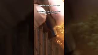 Самая большая монета в мире — Australian Kangaroo One Tonne Gold Coin