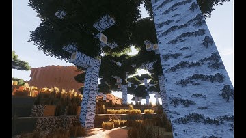 Minecraft 2021 - Stratum 2048x POM/PBR | Continuum Shader 2.1