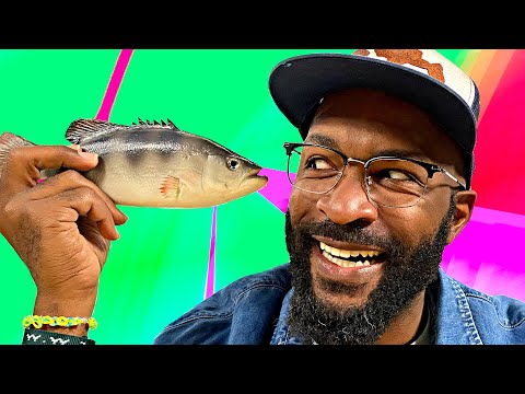 Name That Fish | The Loop Show