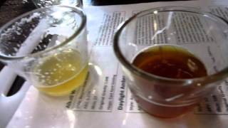 Sacramento Beer Week - Track 7 Brewing Co.