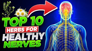 Detailed Top 10 Herbs for Your Nerves (Boost Your Nervous System) Details