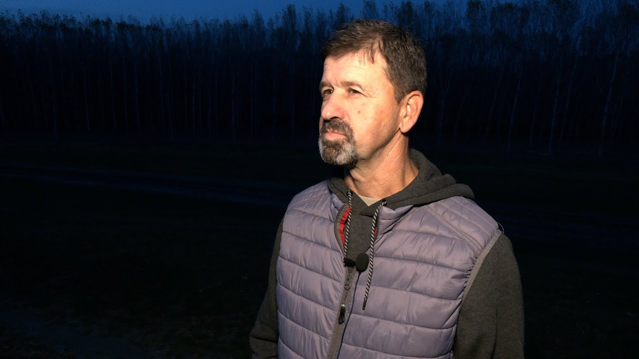 - ČOPORI ŠAKALA SVAKU VEČE OPKOLJAVAJU NAŠE STADO-