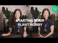 Starting your plant hobby