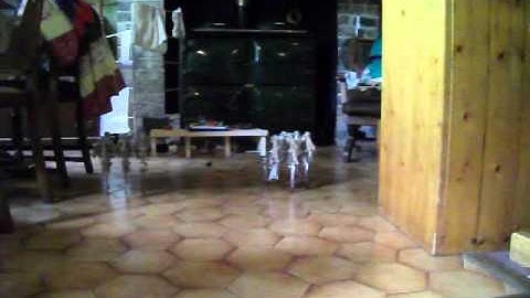 Pc Gamepad VB.Net to Arduino 6