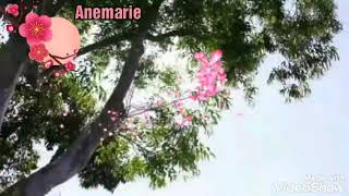 MARK ASHLEY-OH LADY 💖