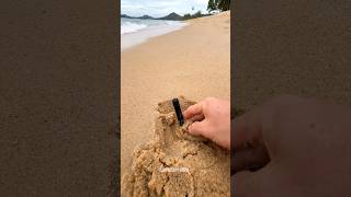 I found something weird on the beach 🏖️ 👀