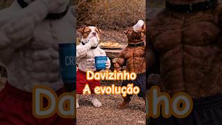 Davizinho a evolução #pitmonster #pitbull #pitbullegatos #pitlove #cachorro
