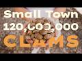 How Are 120 Million Clams Farmed on Florida’s Gulf Coast?
