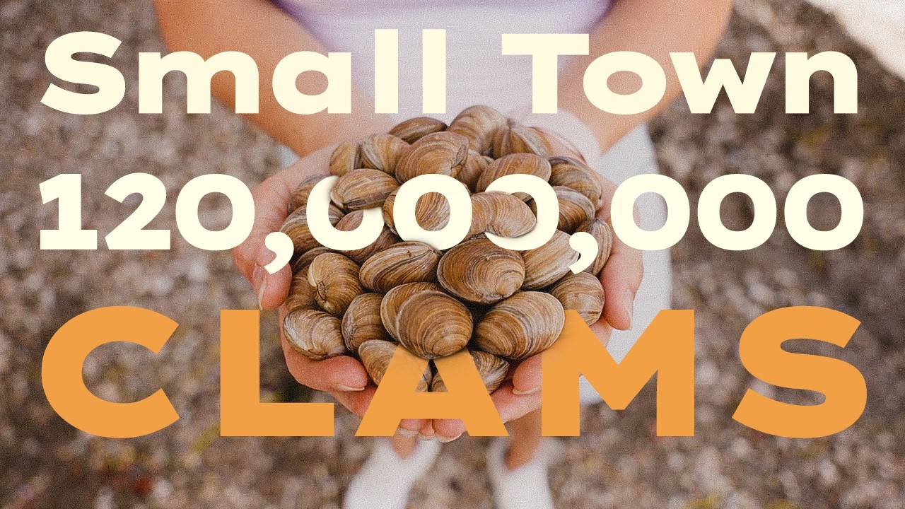 How Are 120 Million Clams Farmed on Florida’s Gulf Coast?