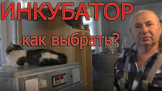 Как выбрать инкубатор? | Какой инкубатор купить?