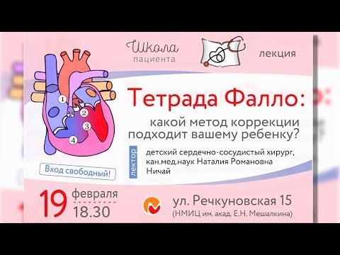 Video: Иттердеги Фалло Тетралогиясы