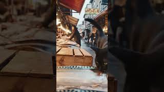 HEARTBREAKING! Cat CRIES for Fish at Market 😭 Sad Bangladeshi Stray Kitten Story (#veo3  #cinematic)