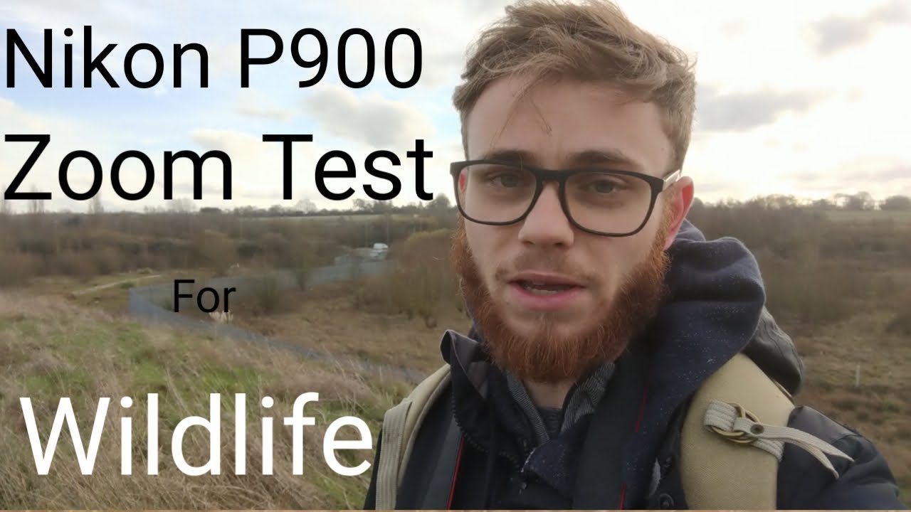 Nikon P900 Zoom Test For Wildlife Photography vs Canon 7Dmk ii 100