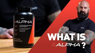 What Is Alpha Jym Testosterone Support By Dr. Jim Stoppani
