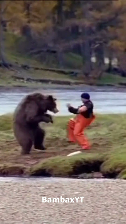 Beruang Kung-Fu berkelahi dengan manusia // #shorts #short #memes