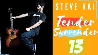 Steve Vai -  Tender Surrender Acoustic Guitar Lesson|| Part 13 || Full Song ||