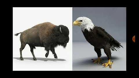 SOCIAL SCIENCE - Continents and Oceans| Class 3