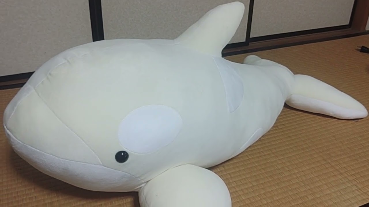 名古屋港水族館くじ引き特賞1等ホワイトシャチぬいぐるみ - YouTube