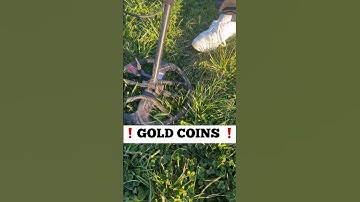 Epic Coin Hunting Adventure: Uncovering Hidden Treasures with Metal Detector! #metaldetecting #fyp