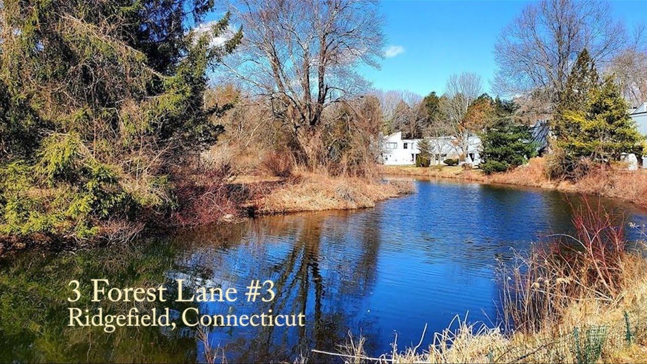 FOX HILL Condo For Sale in Ridgefield, CT OPEN HOUSE TODAY (2/23) at 3 Forest Lane 3 YouTube