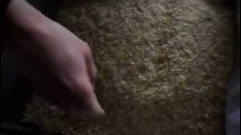 CCD Parboiled Rice Sorting Machine-Email: smarthonesty@yahoo.com