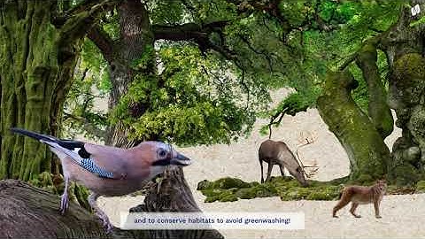 What Are Nature-based Solutions?