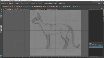 3D lecture MAYA Cat Modeling - Part 1