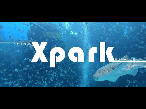 《旅遊VLOG》三分鐘快速遊覽Xpark (桃園青埔)