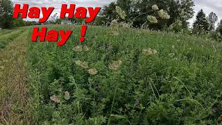 It Is Time to Start Dropping Hay!