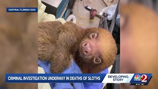 Florida lawmakers call for accountability for deaths of 31 sloths