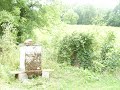 🔵LIVE Beekeeping Chat Questions Answers/ Updates