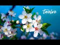 12 hours of relaxing music piano music morning music positive music study music madison