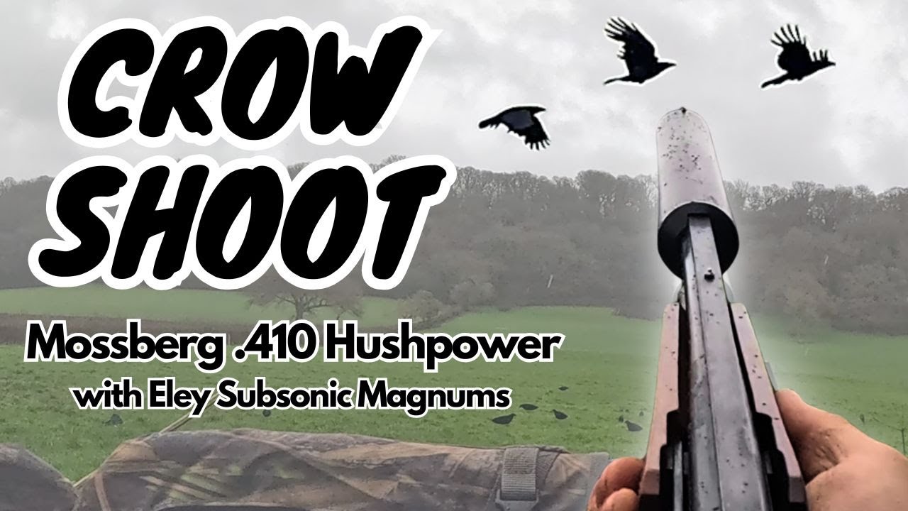 A DOUBLE I WILL NEVER FORGET!! | HUSHPOWER .410 GAUGE SHOTGUN | DECOYING CROWS | PEST CONTROL