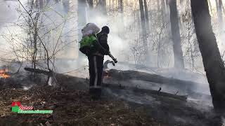 Пожежа Застугнянський ліс 11 04 2020 Підписуйтесь на канал