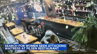 Video Chicago Police Searching For Women Seen Attacking Waitress At Pilsen Restaurant