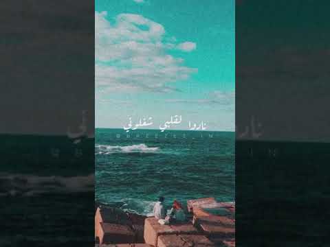 عيونه لما قابلوني نادو القلب شغلوني