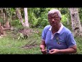 Natural Farming Training-Day 3- Part 3 - Building Soil, Bed Preparation, IMO 3-5