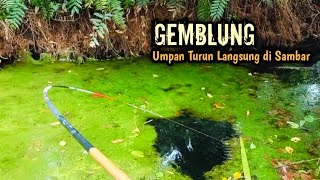 Download Lagu Bukan Rekayasa ‼️ Umpan Turun Langsung di Sambar || Mancing Liar MP3 Download Lagu Bukan Rekayasa ‼️ Umpan Turun Langsung di Sambar || Mancing Liar MP3