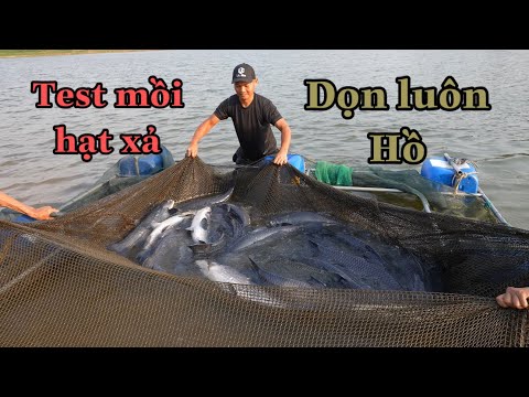 Test Mồi Hạt Xả Cùng Các Đài Sư ( phần 2 )