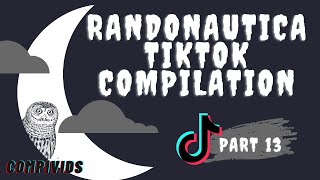 Randonautica Weird Tiktok Compilations