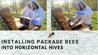 Installing Package Bees in a Horizontal Hive - 4K