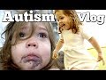 Autism Evaluation for 2 Year old Girl - The Last Visit Before Diagnosis