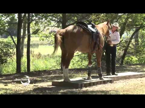 Julie Goodnight: Quick Tip Get off and Lead Across, Trail Riding, CHA