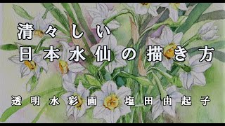 Transparent watercolor painting] How to paint refreshing Japanese