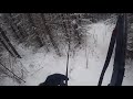 Охота на ЗАЙЦА по свежему снегу!